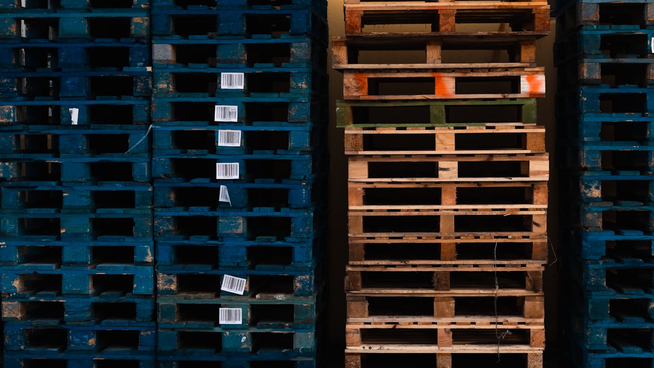 why-choose-us pexels-photo-34908275.jpeg